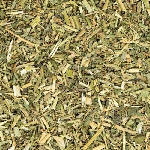 Alfalfa-Kraut