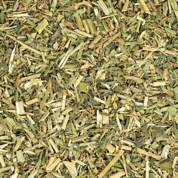 Alfalfa-Kraut
