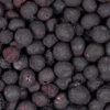 Gefriergetrocknete Heidelbeeren