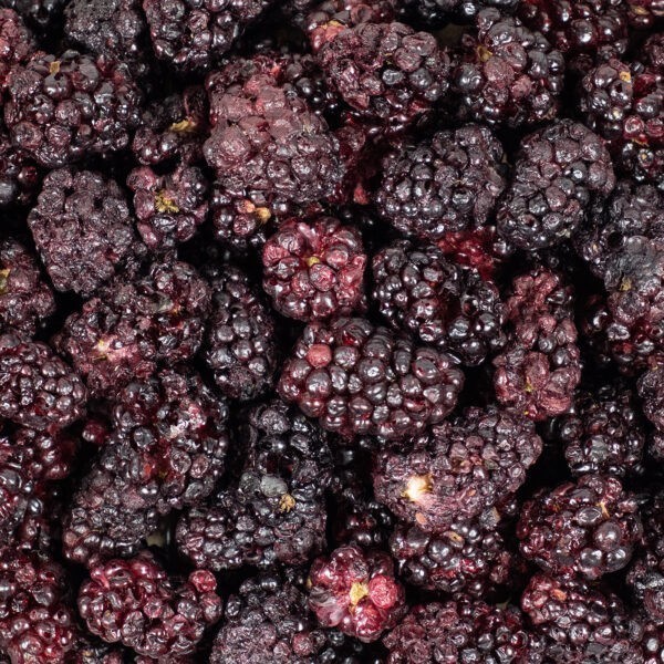 Gefriergetrocknete Brombeeren