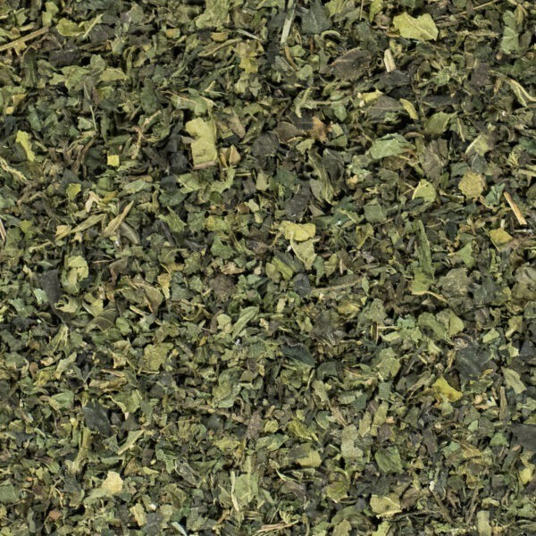 Brennesselblätte