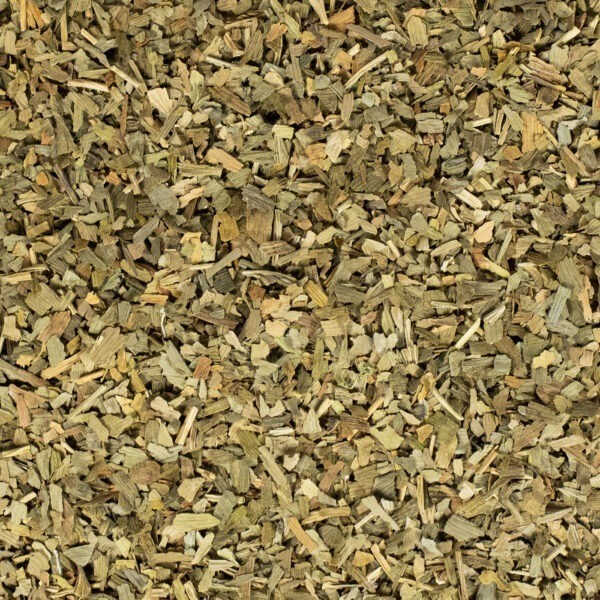 Ginkgo Biloba Blätter