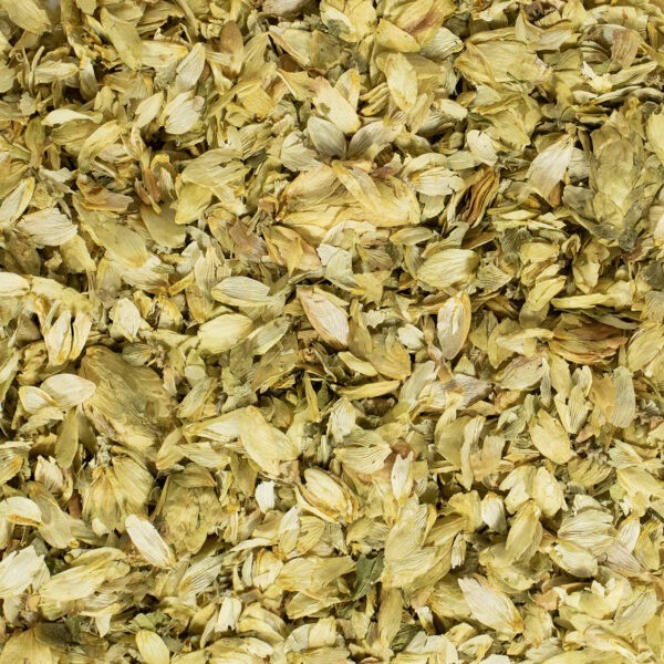 Hopfen (Geschnittener)