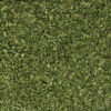 Kerbel