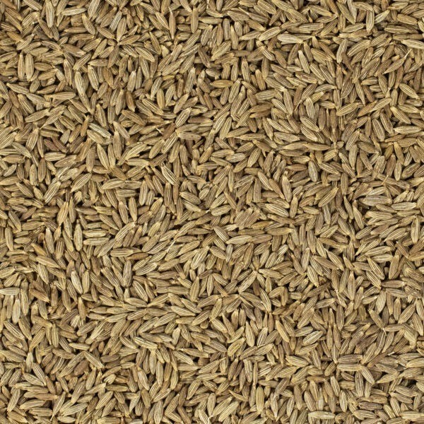Kreuzkümmel (ganz)