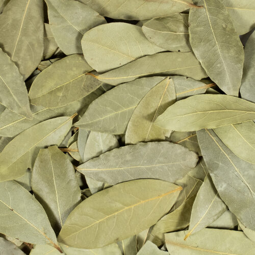 Lorbeerblatt