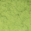 Moringa Pulver