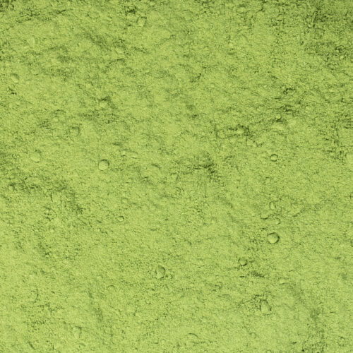 Moringa Pulver