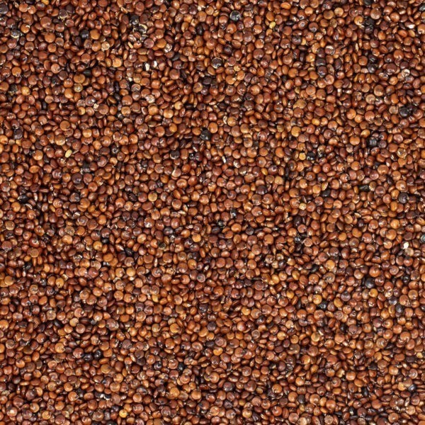 Rote Quinoa