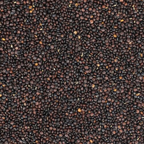 Schwarze Quinoa