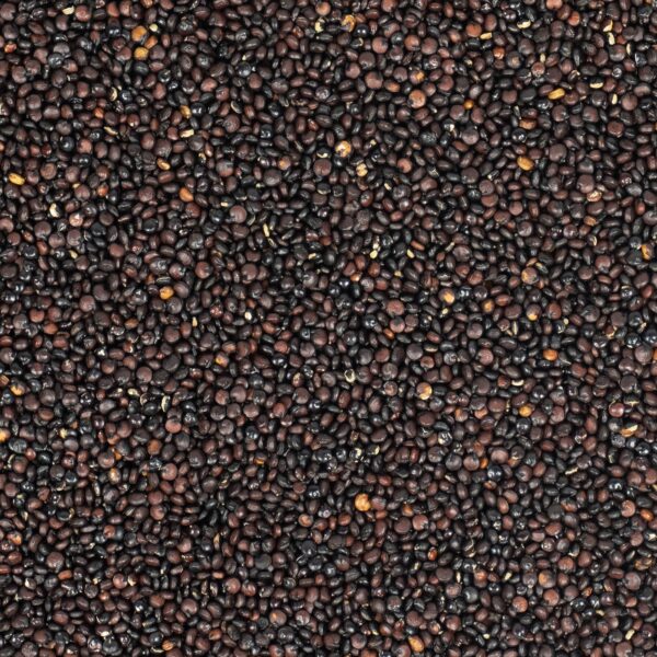 Schwarze Quinoa