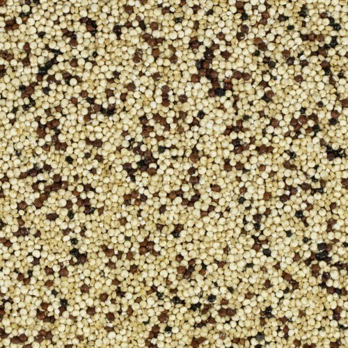 Tricolore Quinoa
