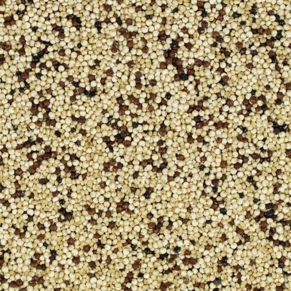 Tricolore Quinoa