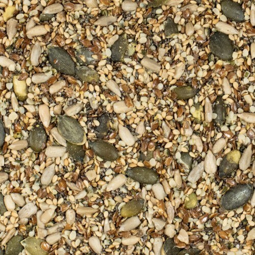 Power-Mix aus Saaten & Kernen