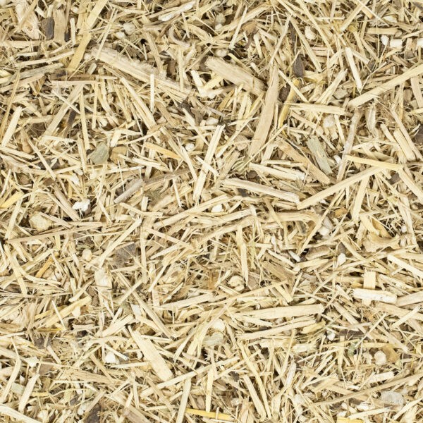 Siberischer Ginseng