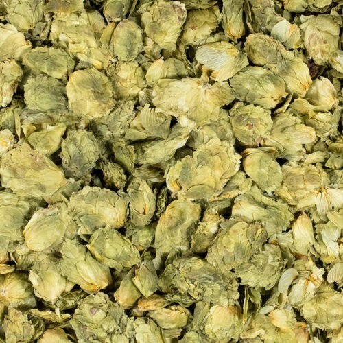 Hopfen