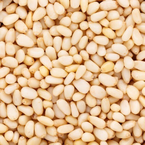 Pinienkern