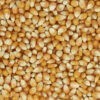 Popcorn-Mais