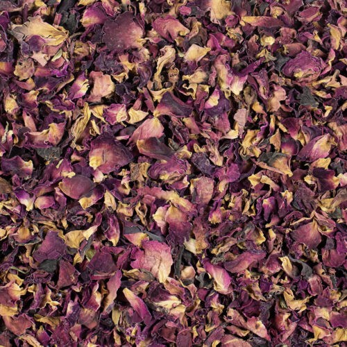 Rosenblütenblätter
