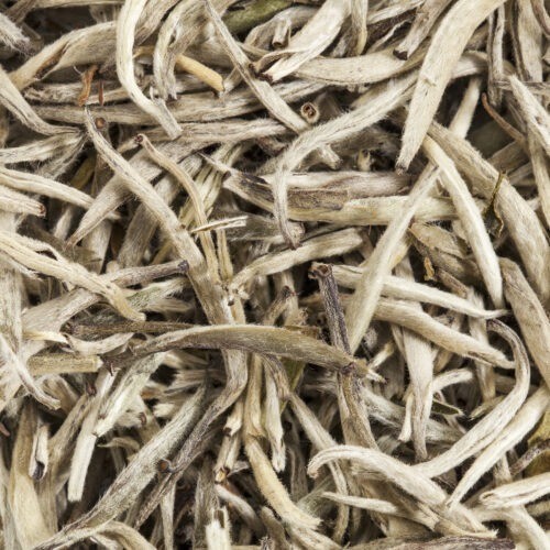 Silver Needle Weißtee