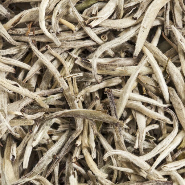 Silver Needle Weißtee