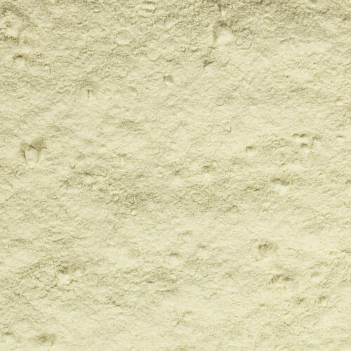 Zwiebelpulver