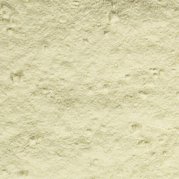 Zwiebelpulver