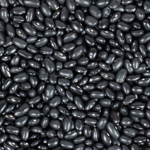 Schwarze Bohnen
