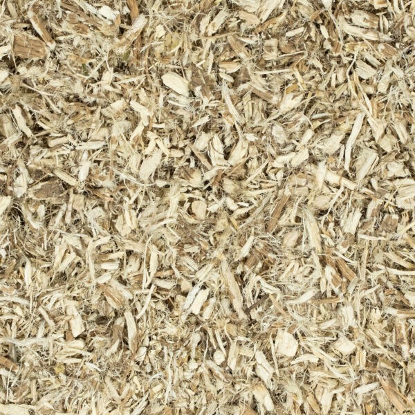 Eibischwurzel