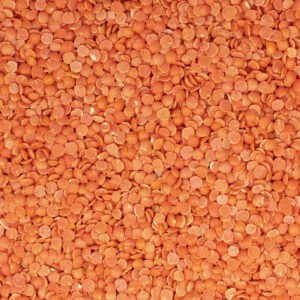 Rote Linsen