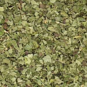 Schwarze Johannisbeerblätter