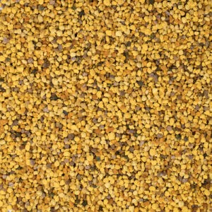 Bienenpollen