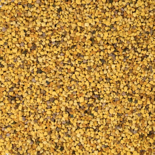 Bienenpollen