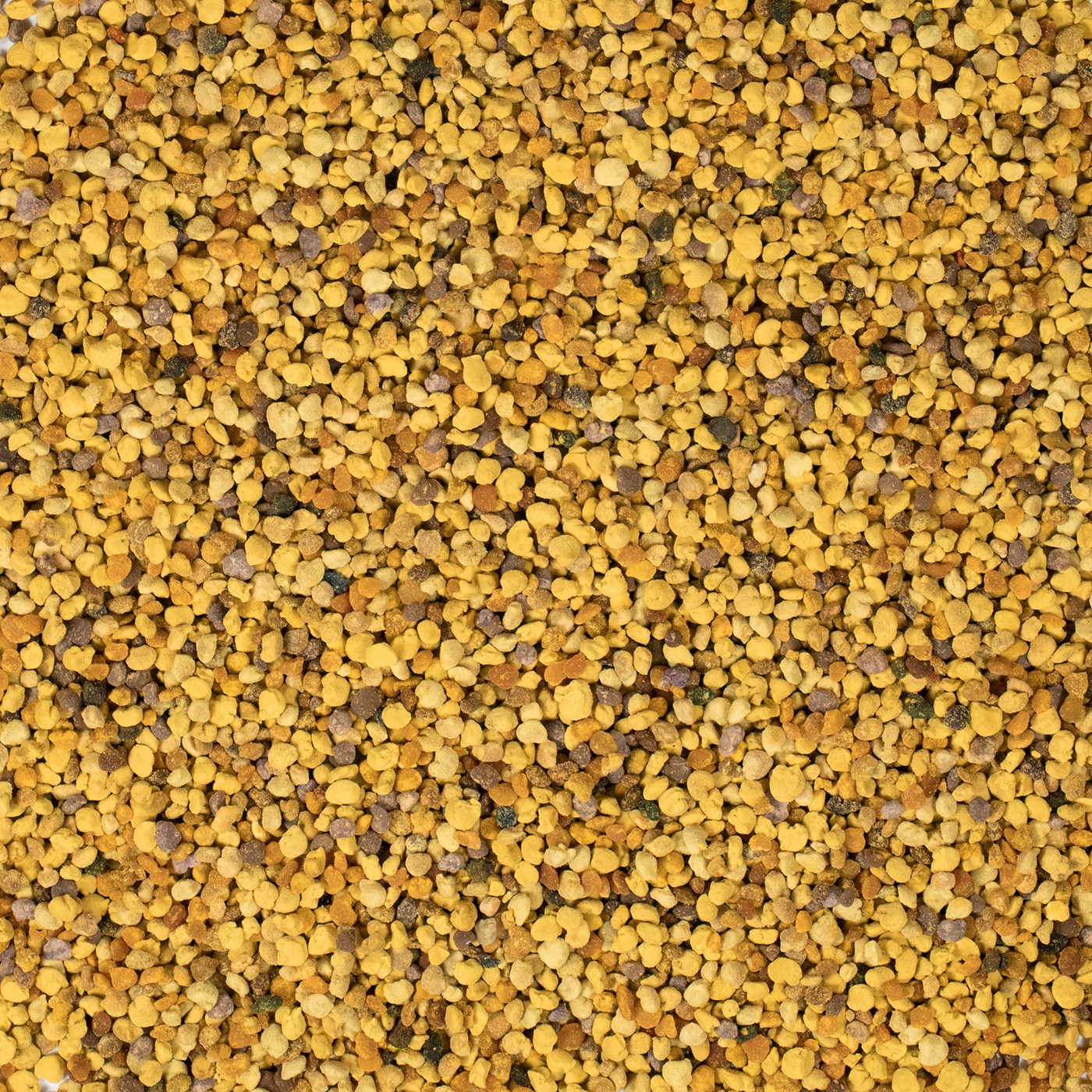 Bienenpollen